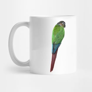 Green Cheek Conure Parrot Bird design, Love for birds Mug